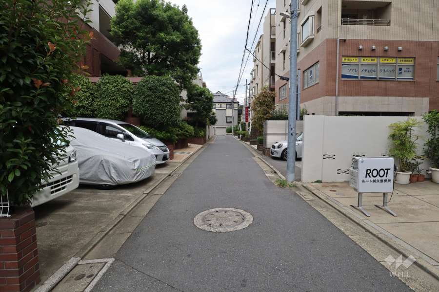 敷地南側の前面道路（西側から）