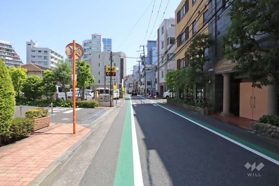 敷地北西側の前面道路(南西側から)
