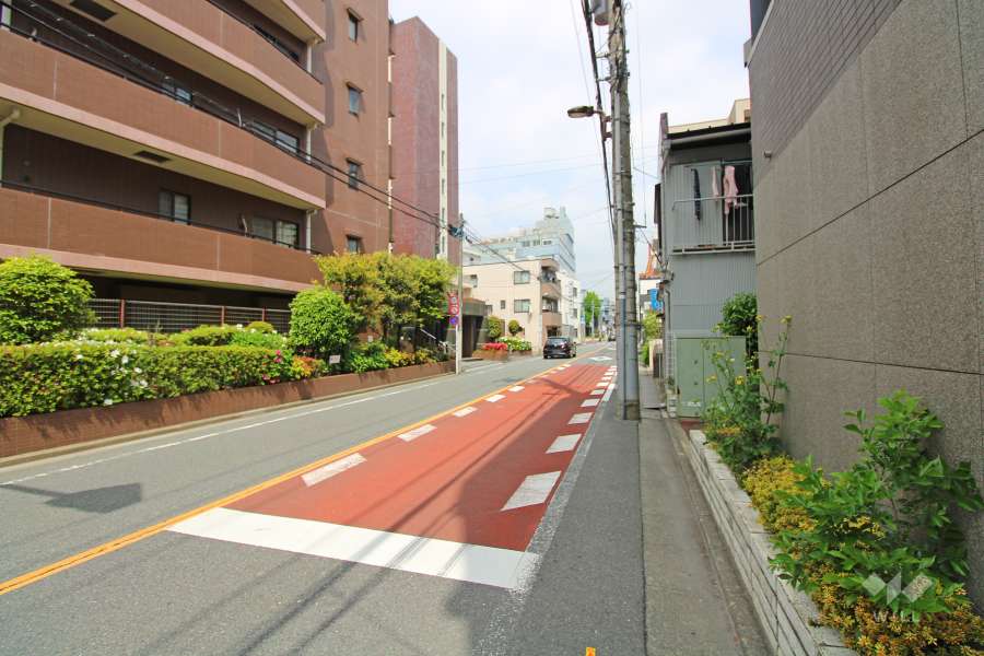 敷地西側の前面道路（南側から）