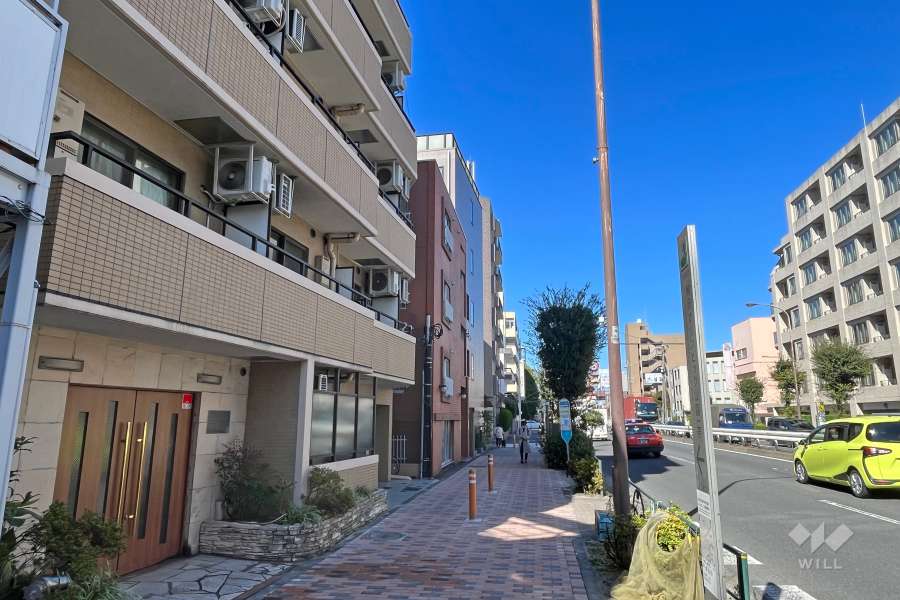 敷地東側の前面道路（南側から）