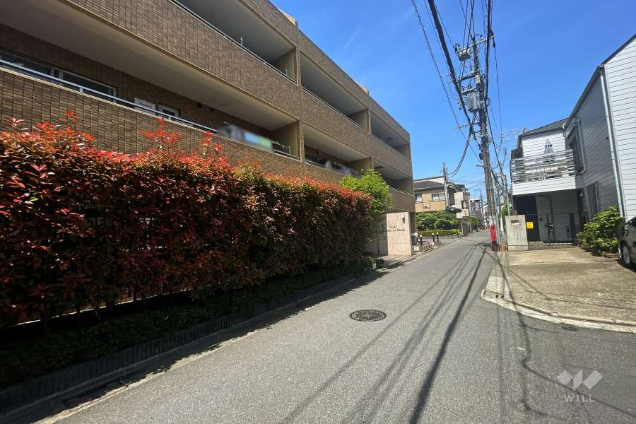 敷地東側の前面道路（南側から）