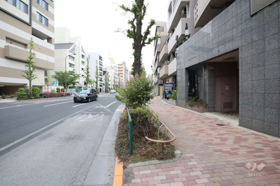 敷地南側の前面道路（東側から）