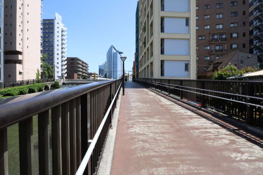 敷地北東側の前面道路(北西側から)