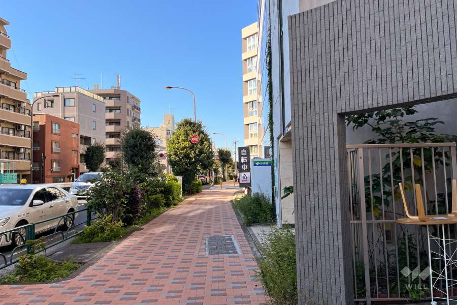 敷地西側の前面道路（南側から）