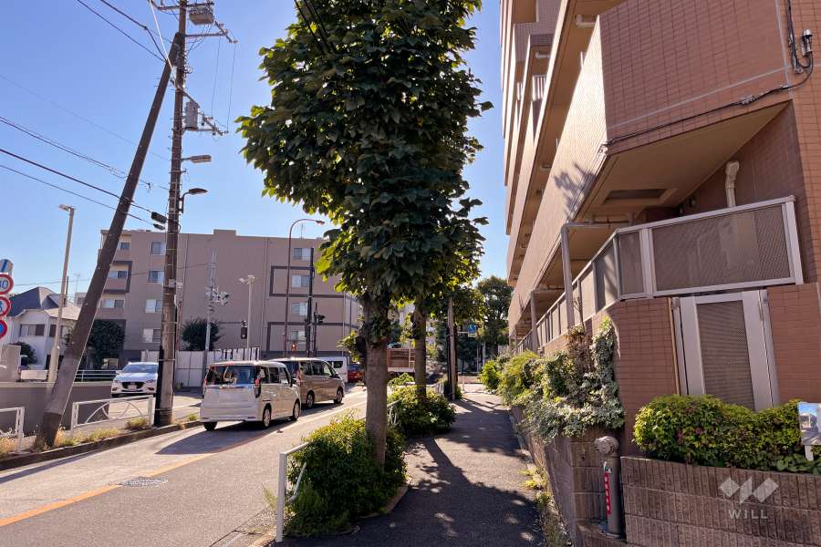 敷地南側の前面道路（東側から）