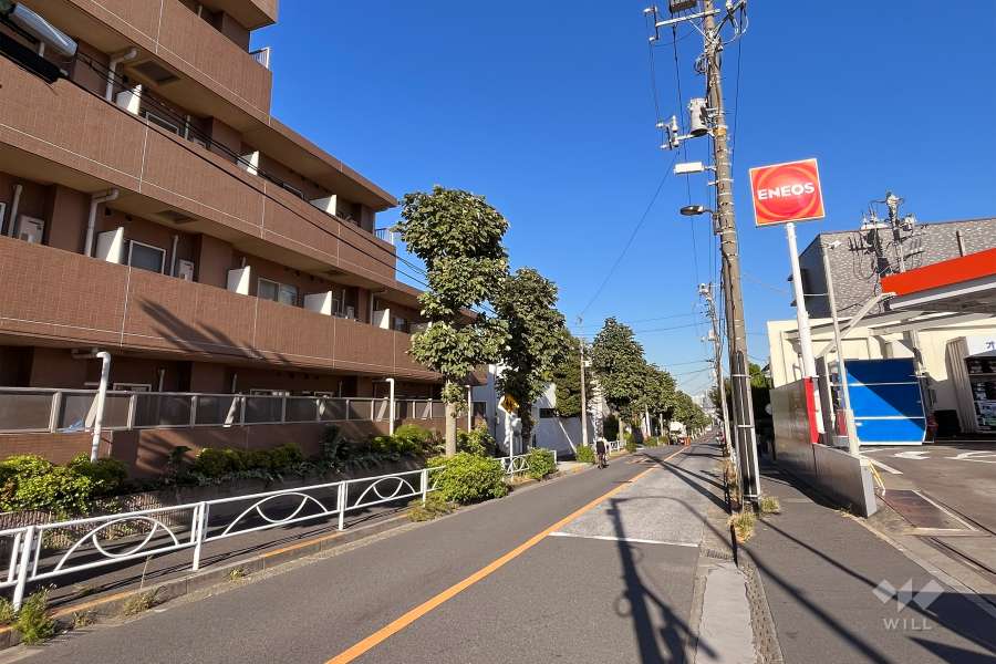 敷地南側の前面道路（西側から）