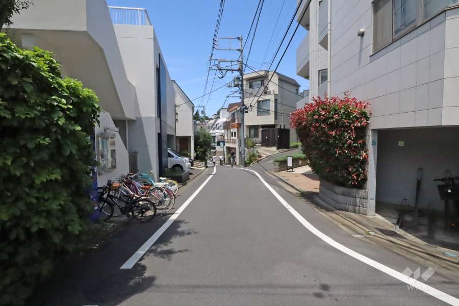 敷地南側の前面道路(東側から)