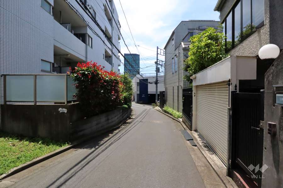 敷地西側の前面道路(北側から)