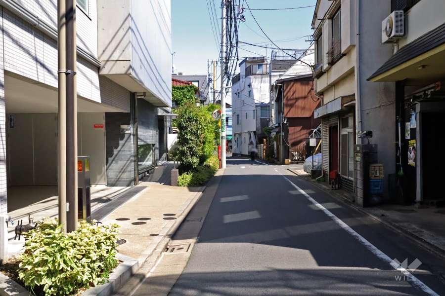 敷地南側の前面道路(西側から)