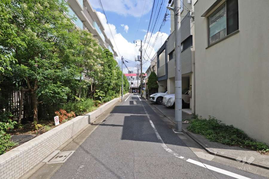 敷地南側の前面道路（西側から）