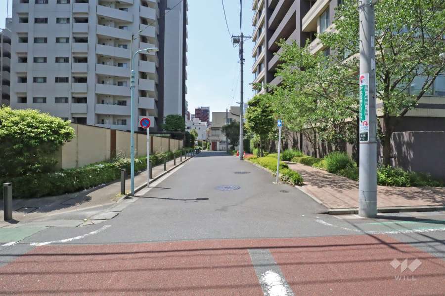 敷地南東側の前面道路(側から)