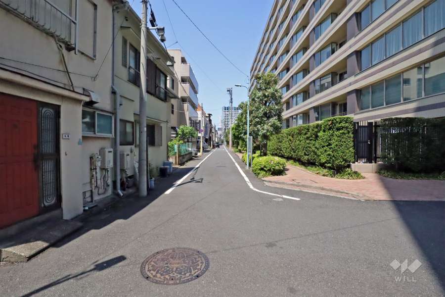 敷地南西側の前面道路(側から)