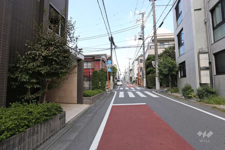 敷地の東側前面道路（南側から）