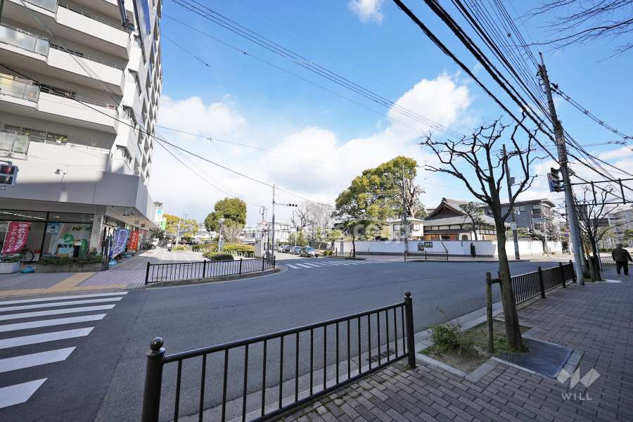 敷地北西側の前面道路。二車線のバス通りです。