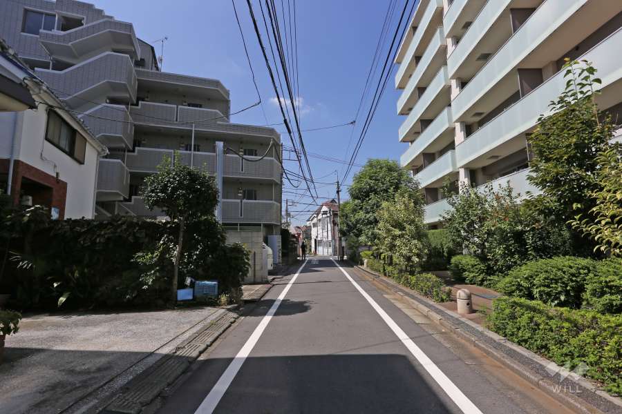 敷地の南側前面道路（東側から）