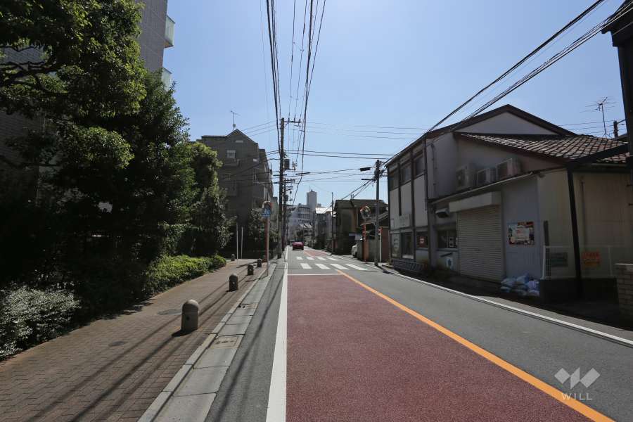 敷地の西側前面道路（北側から）