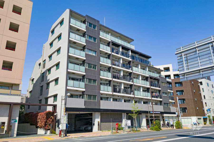 フェニシア学芸大学の外観（南西側から）