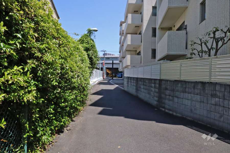 敷地北西側の前面道路(南西側から)