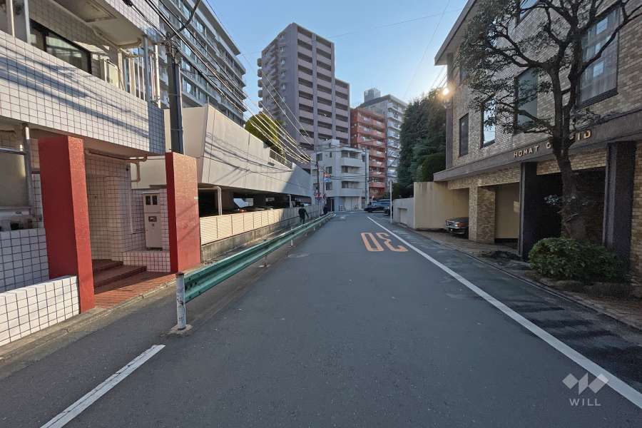 敷地南側の前面道路（西側から）