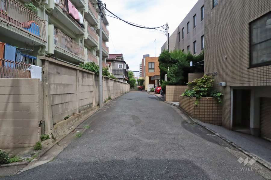 敷地南側の前面道路(西側から)