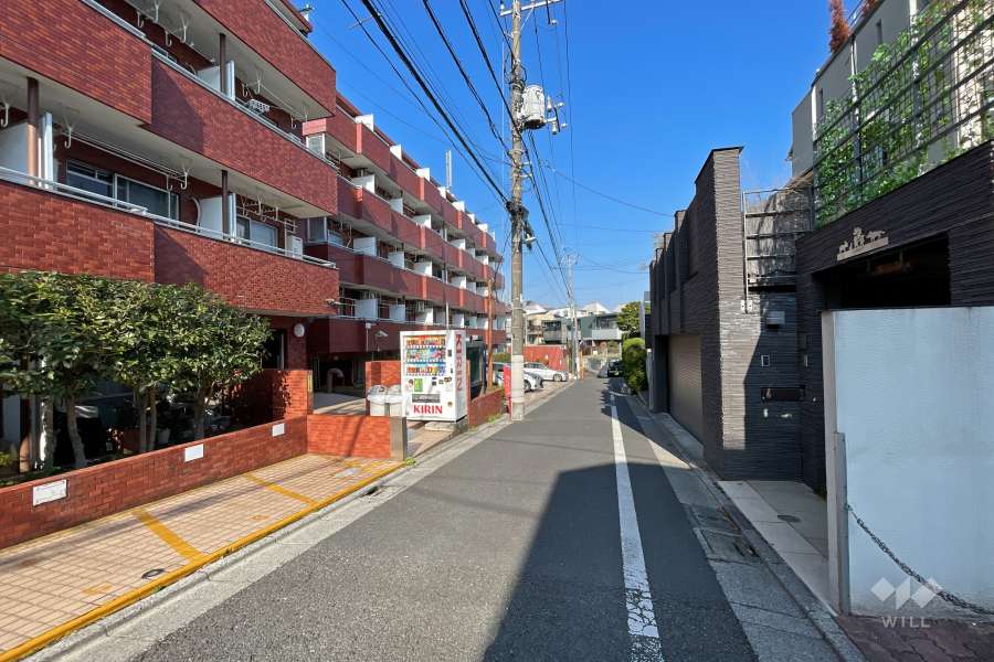 敷地北東側の前面道路（南東側から）