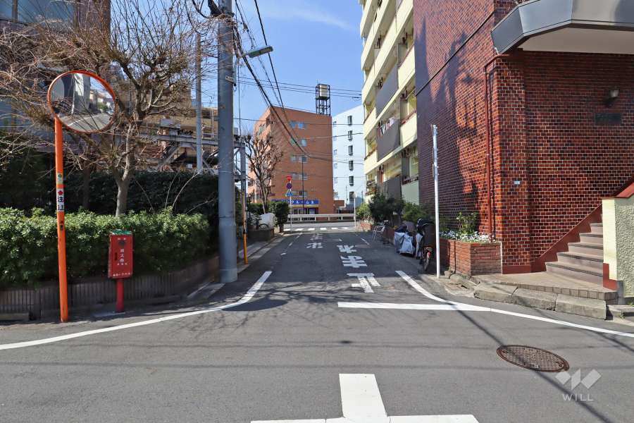 敷地北側の前面道路(西側から)
