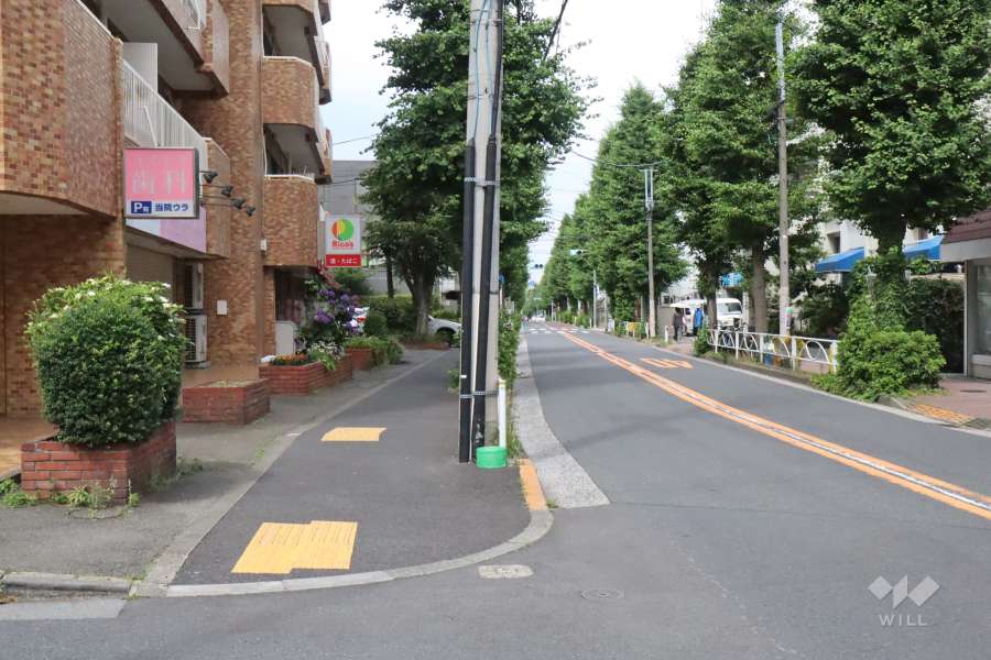 敷地南東側の前面道路(南西側から)
