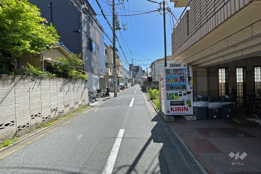 敷地北側の前面道路（西側から）