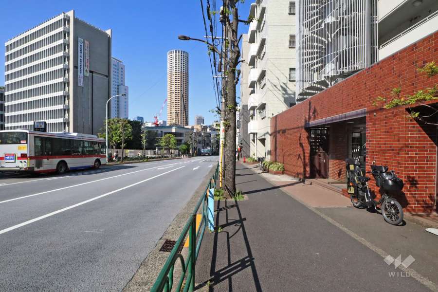 敷地西側の前面道路(南側から)