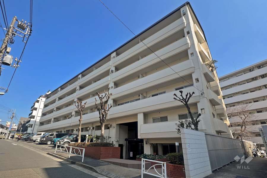 ゾンネンハイム大橋の外観（南西側から）