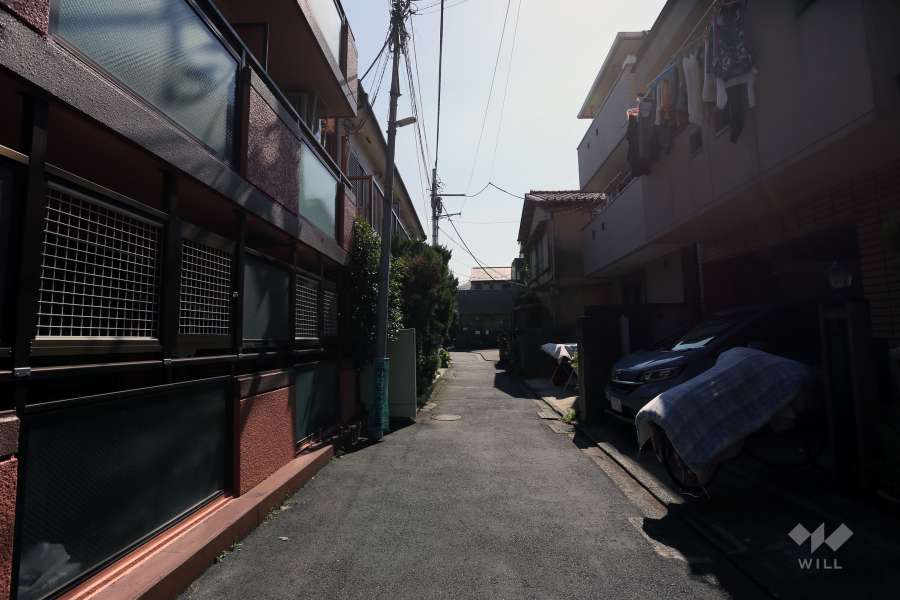 敷地の西側前面道路（北側から）