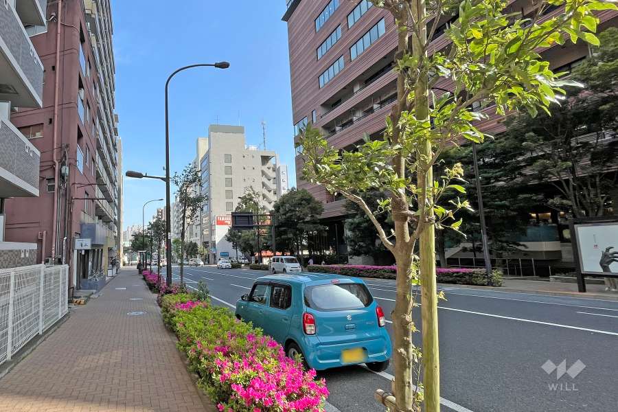 敷地南西側の前面道路(北西側から)