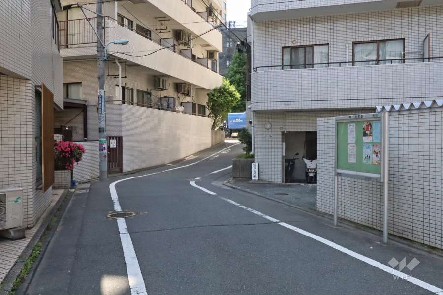 敷地南側の前面道路（西側から）