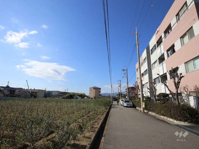 敷地南側の前面道路