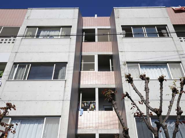 外壁はコンクリート打ち放しとタイルのコンビネーション
