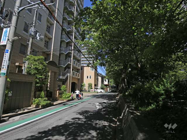 敷地北側の前面道路。花のみちに続く、通りです。