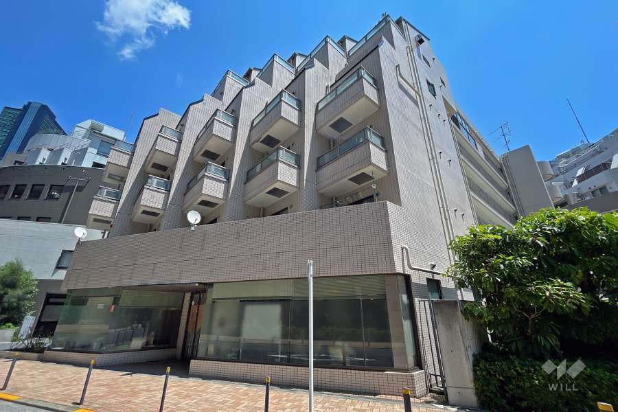 フラッツ大橋の外観（南西側から）