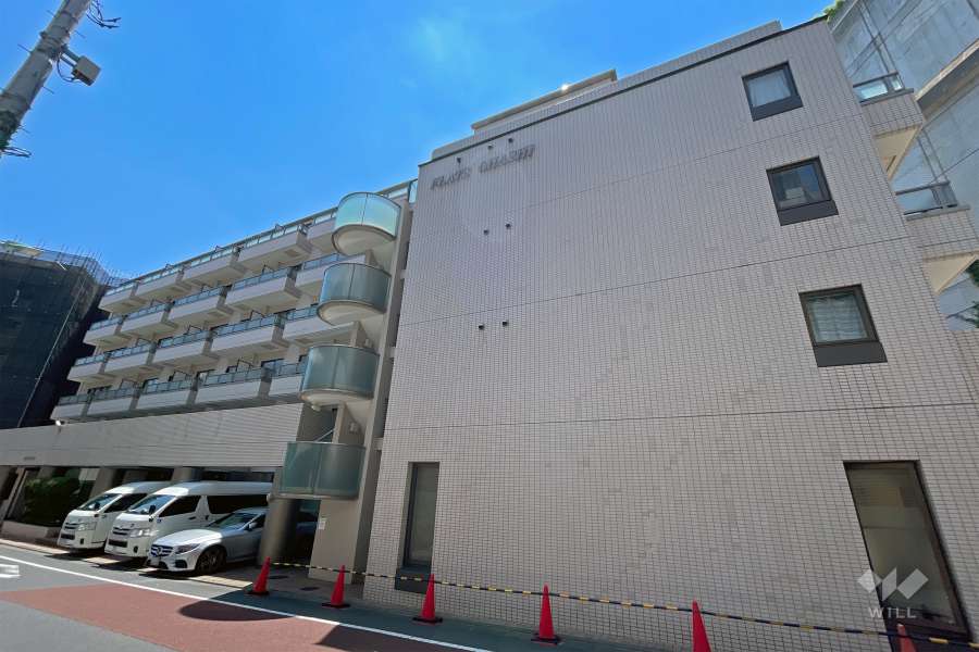 フラッツ大橋の外観（北側から）