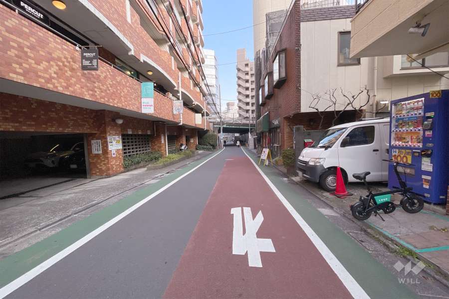 敷地南側の前面道路（西側から）