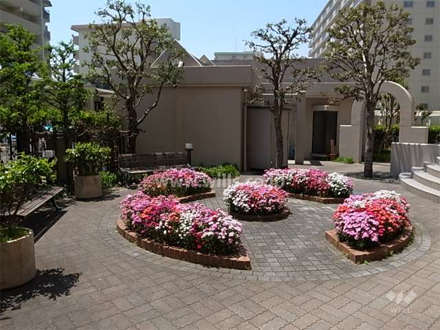 ベンチが設置された敷地内の広場。