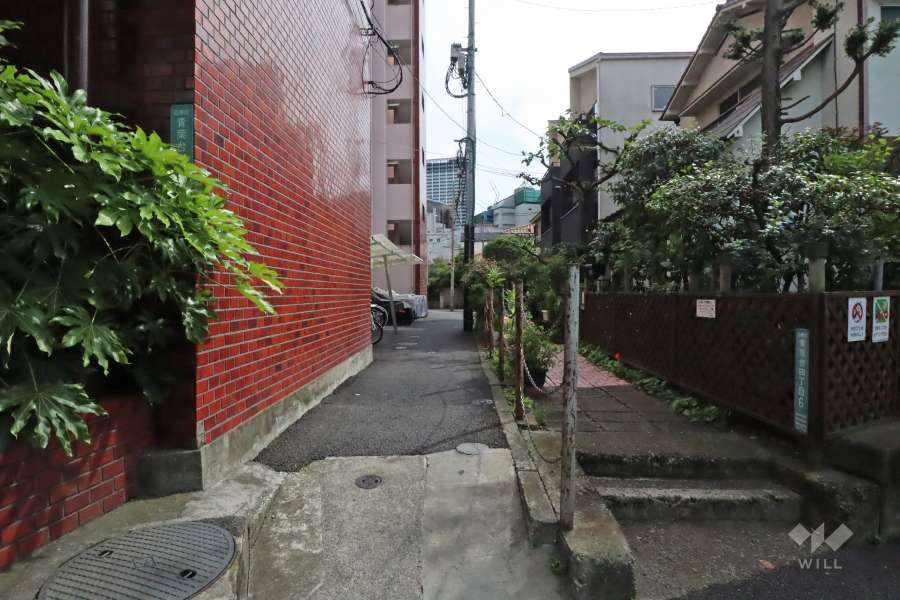 敷地西側の前面道路(北側から)