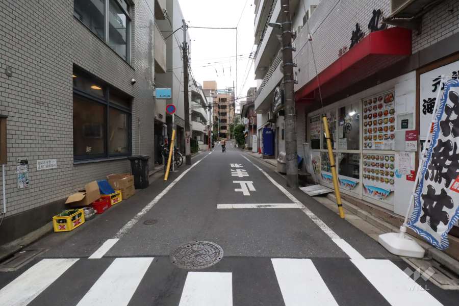 敷地南東側の前面道路(北東側から)