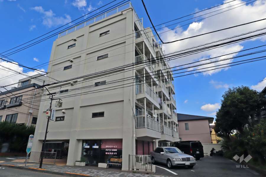 柿の木坂アビタシオンの外観（南西側から）