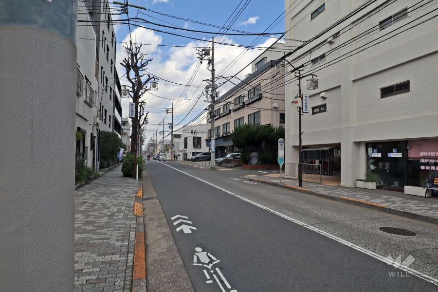 敷地西側の前面道路（南側から）は柿の木坂通りです。マンション前にバス停があります。