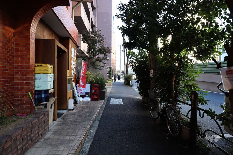 敷地北東側の前面道路（南東側から）