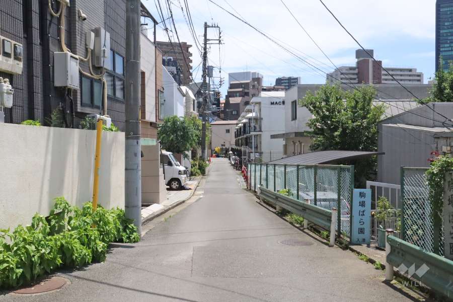 敷地北西側の前面道路（北西側から）