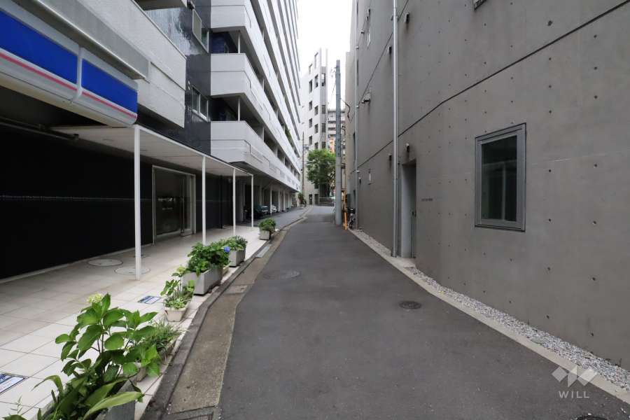 敷地東側の前面道路(南側から)