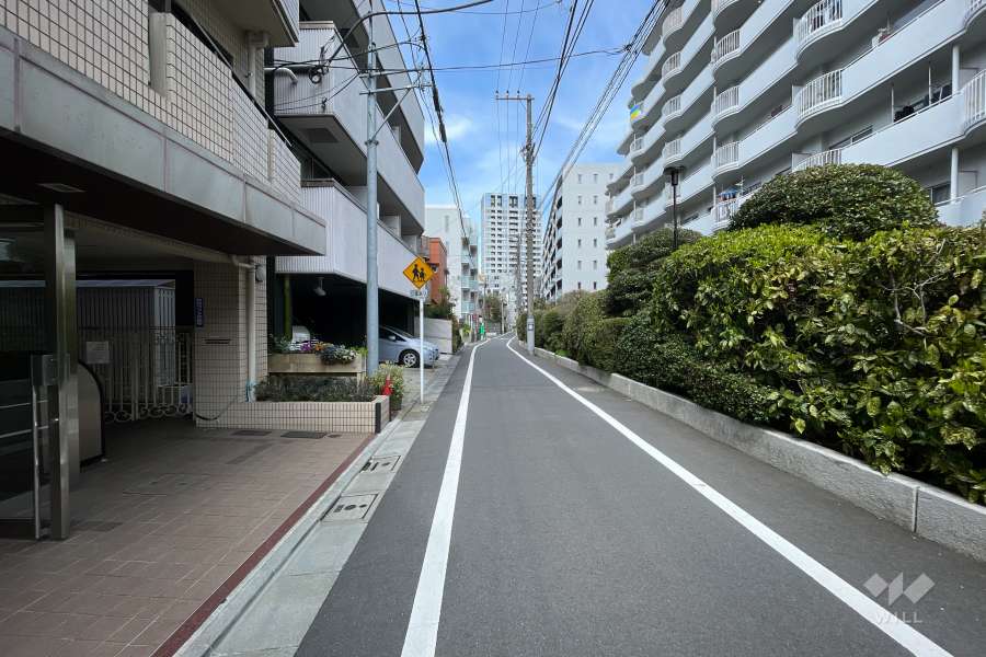 敷地東側の前面道路