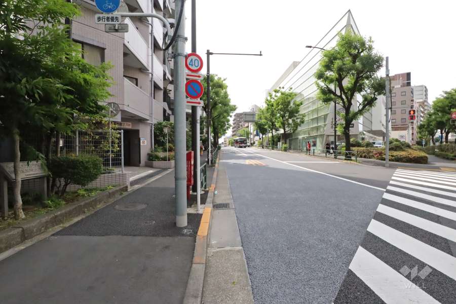 敷地北側の前面道路
