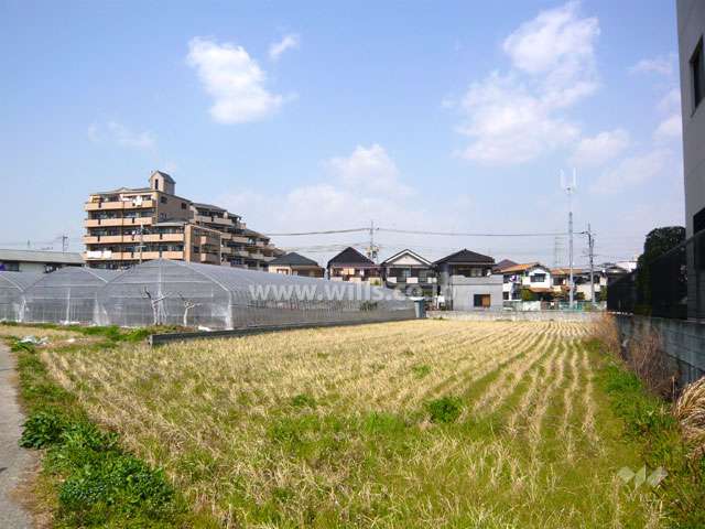 敷地の西側には田畑が広がっています。